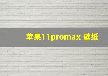 苹果11promax 壁纸